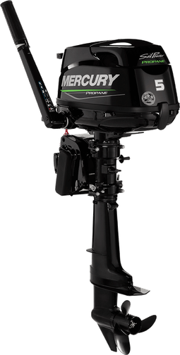 Silnik Mercury F5 LPG MH